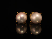 Load image into Gallery viewer, EARRINGS . X-CLAW PEARL
