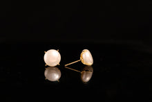 Load image into Gallery viewer, EARRINGS . XCLAW
