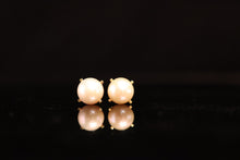 Load image into Gallery viewer, EARRINGS . XCLAW
