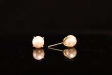 Load image into Gallery viewer, EARRINGS . XCLAW

