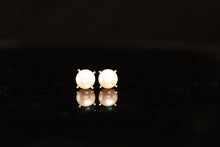 Load image into Gallery viewer, EARRINGS . XCLAW
