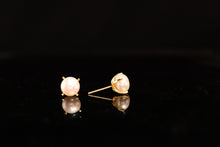 Load image into Gallery viewer, EARRINGS . XCLAW
