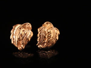 EARRINGS. DAHON