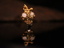 Load image into Gallery viewer, EARRING. GOLD DIAMANTE UBAS
